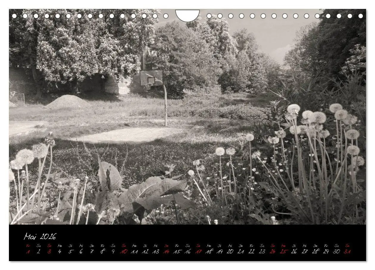 Bild: 9783516106886 | Kaiserswerther Impressionen (Wandkalender 2026 DIN A4 quer),...
