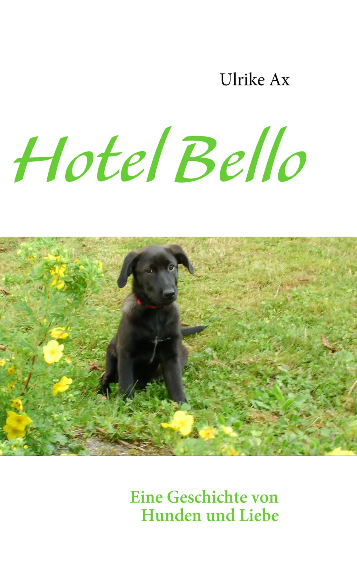 Cover: 9783837036886 | Hotel Bello | Eine Geschichte von Hunden und Liebe | Ulrike Ax | Buch