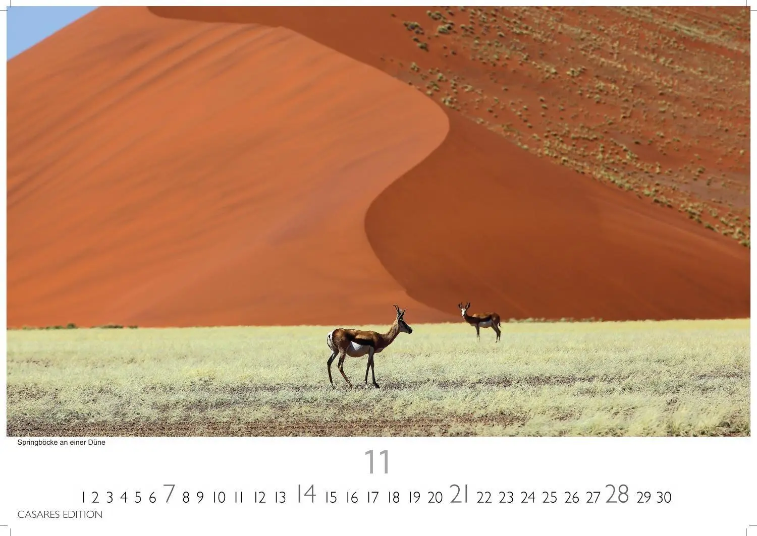 Bild: 9781835246986 | Wilde Tiere Afrikas Kalender 2027 - Wandkalender Fotokalender...