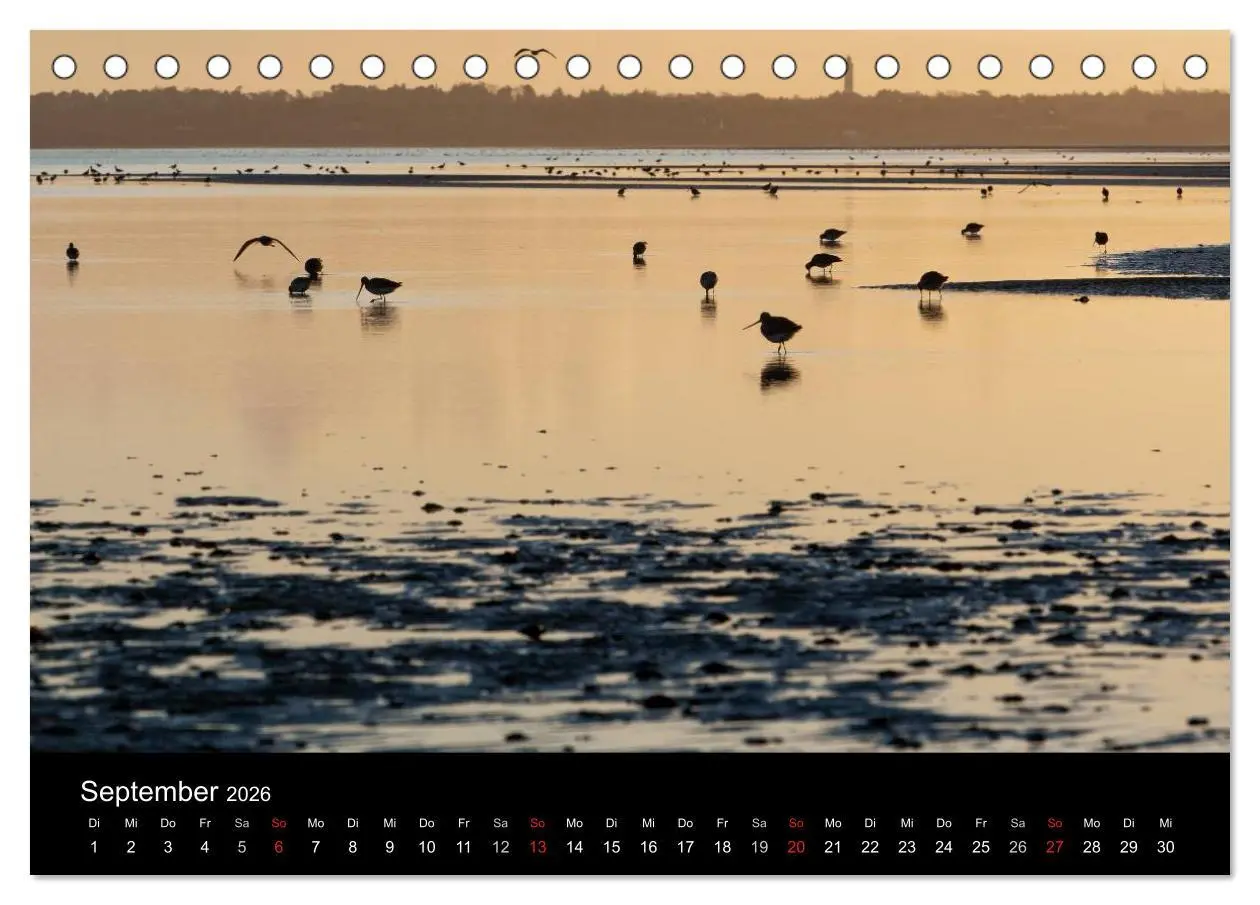 Bild: 9783516196986 | Sylt-Abende - Fotografien von Beate Zoellner (Tischkalender 2026...