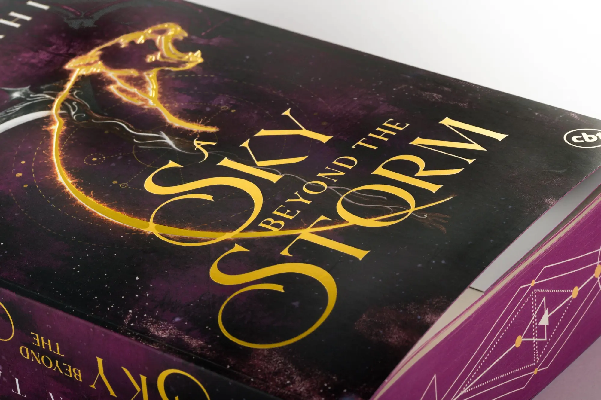 Bild: 9783570316986 | A Sky Beyond the Storm | Sabaa Tahir | Taschenbuch | 672 S. | Deutsch