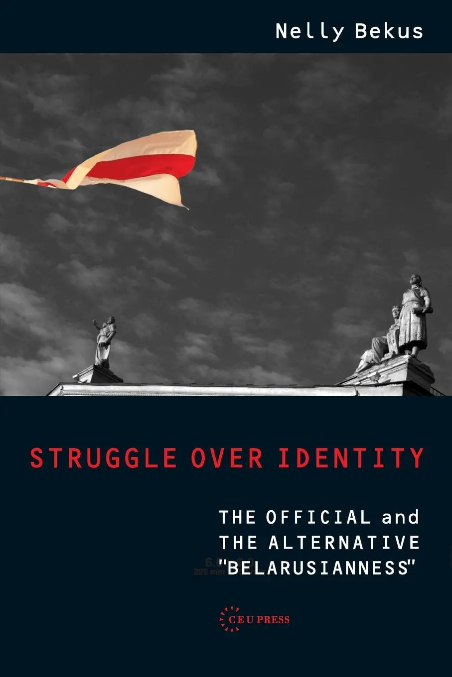 Cover: 9789633866986 | Struggle Over Identity | Nelly Bekus | Taschenbuch | Englisch | 2023