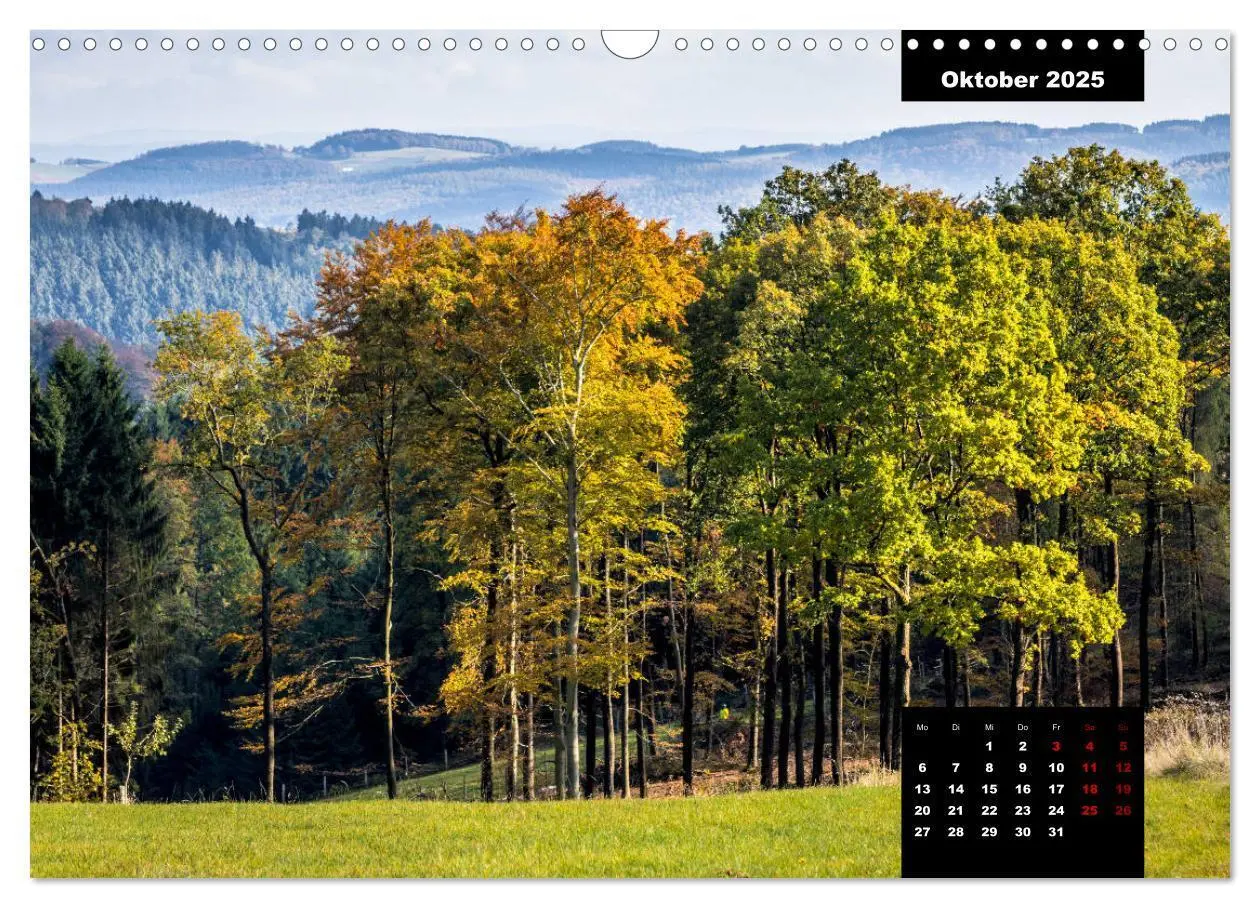 Bild: 9783435287086 | Malerisches Sauerland (Wandkalender 2025 DIN A3 quer), CALVENDO...