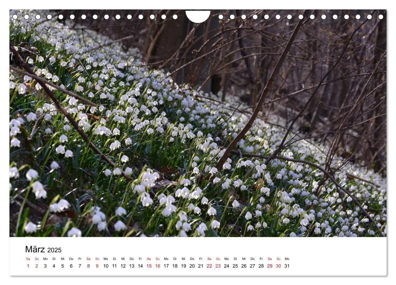 Bild: 9783435597086 | Zauberhafte Schwäbische Alb (Wandkalender 2025 DIN A4 quer),...
