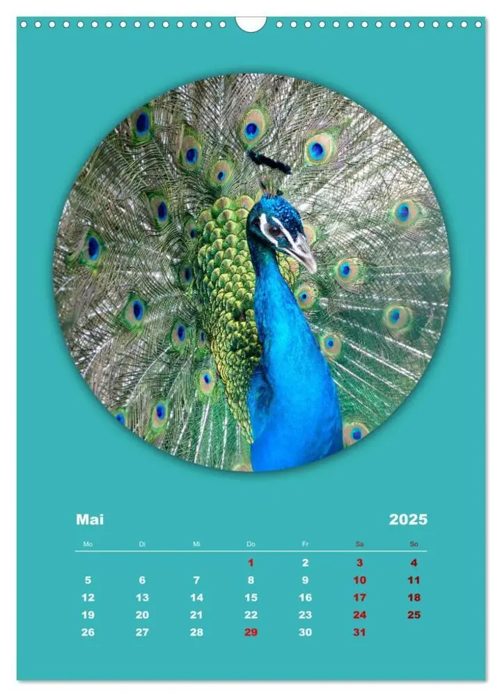 Bild: 9783435897186 | Rundherum Natur (Wandkalender 2025 DIN A3 hoch), CALVENDO...