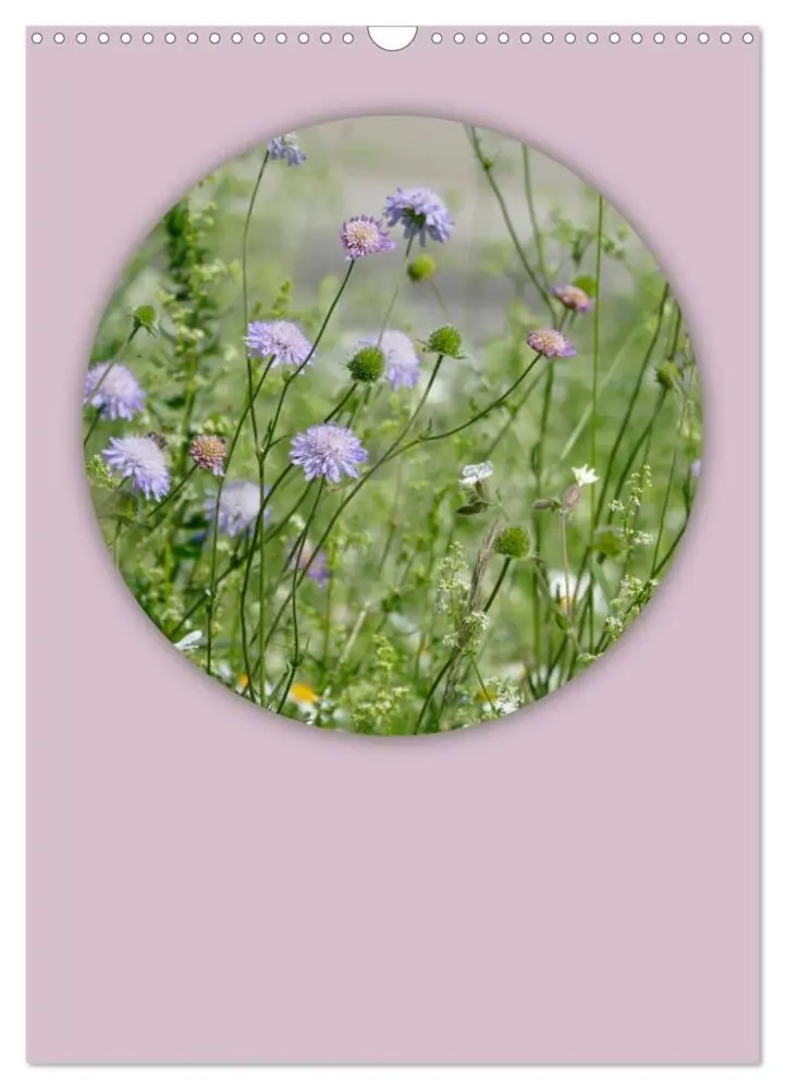 Bild: 9783435897186 | Rundherum Natur (Wandkalender 2025 DIN A3 hoch), CALVENDO...