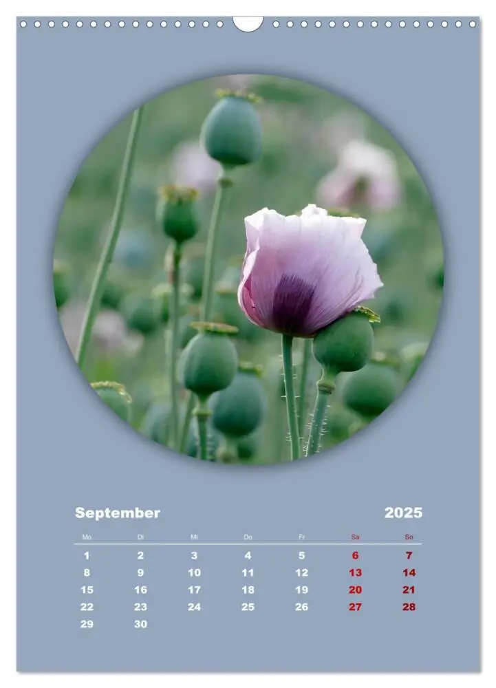 Bild: 9783435897186 | Rundherum Natur (Wandkalender 2025 DIN A3 hoch), CALVENDO...