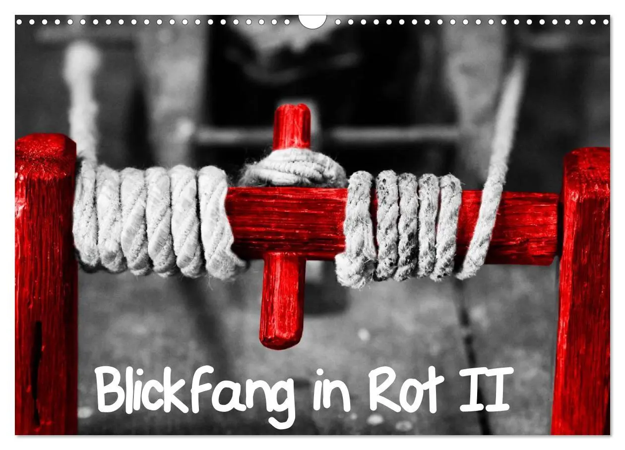 Cover: 9783516217186 | Blickfang in Rot (Wandkalender 2026 DIN A3 quer), CALVENDO...