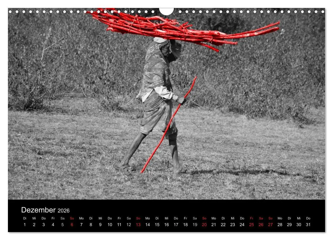 Bild: 9783516217186 | Blickfang in Rot (Wandkalender 2026 DIN A3 quer), CALVENDO...