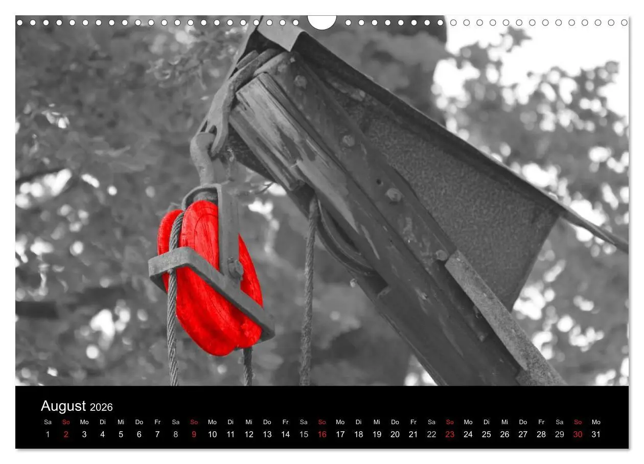 Bild: 9783516217186 | Blickfang in Rot (Wandkalender 2026 DIN A3 quer), CALVENDO...