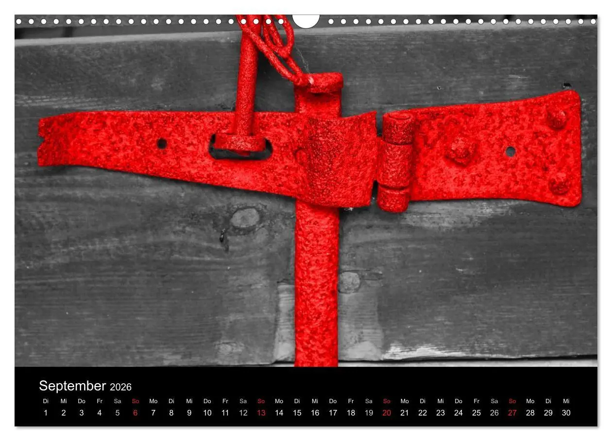 Bild: 9783516217186 | Blickfang in Rot (Wandkalender 2026 DIN A3 quer), CALVENDO...