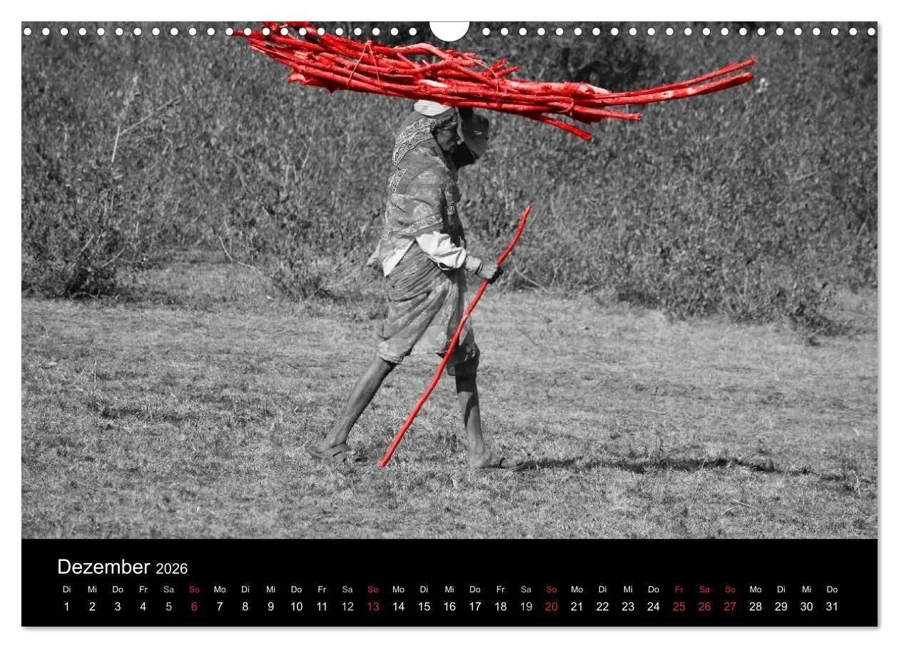 Bild: 9783516217186 | Blickfang in Rot (Wandkalender 2026 DIN A3 quer), CALVENDO...