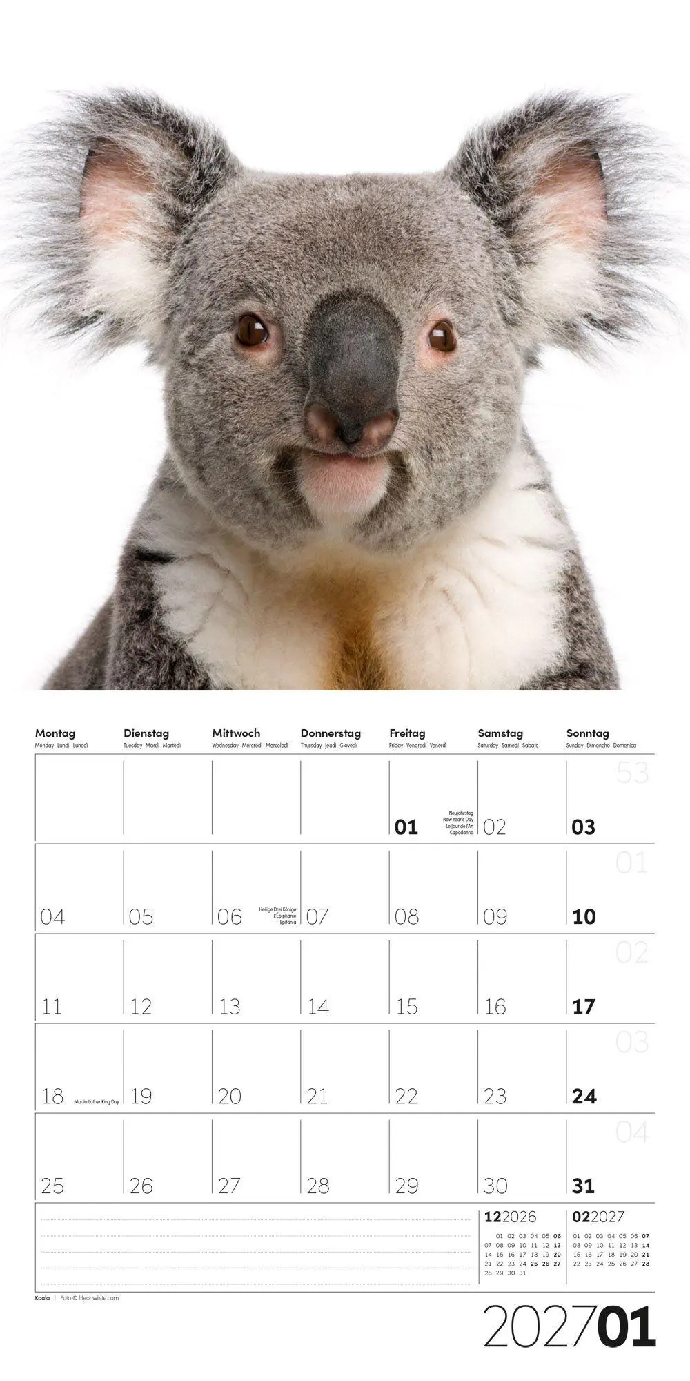 Bild: 9783838447186 | Animals Kalender 2027 - 30x30 - Art12 | Ackermann Kunstverlag GmbH