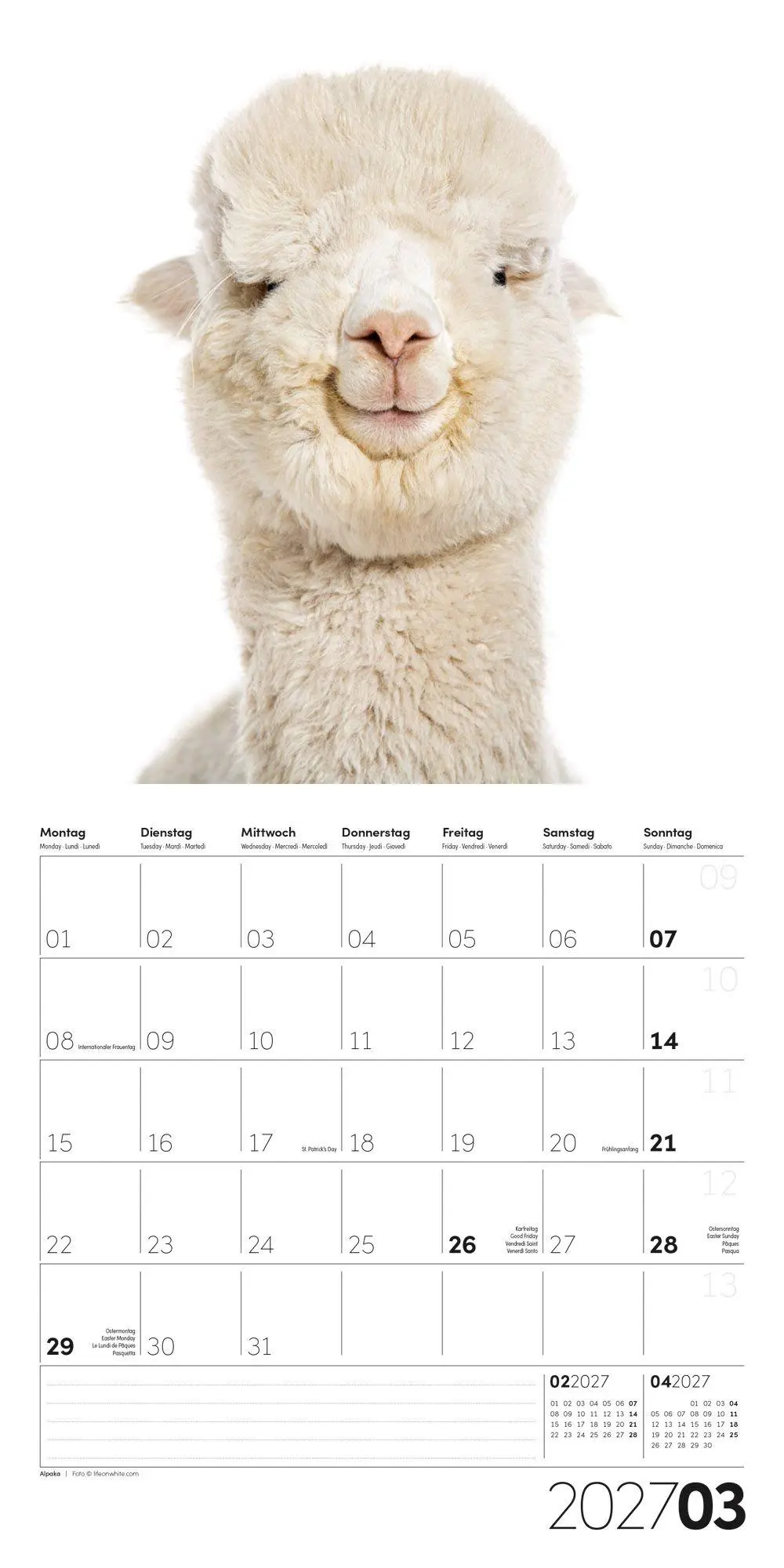 Bild: 9783838447186 | Animals Kalender 2027 - 30x30 - Art12 | Ackermann Kunstverlag GmbH