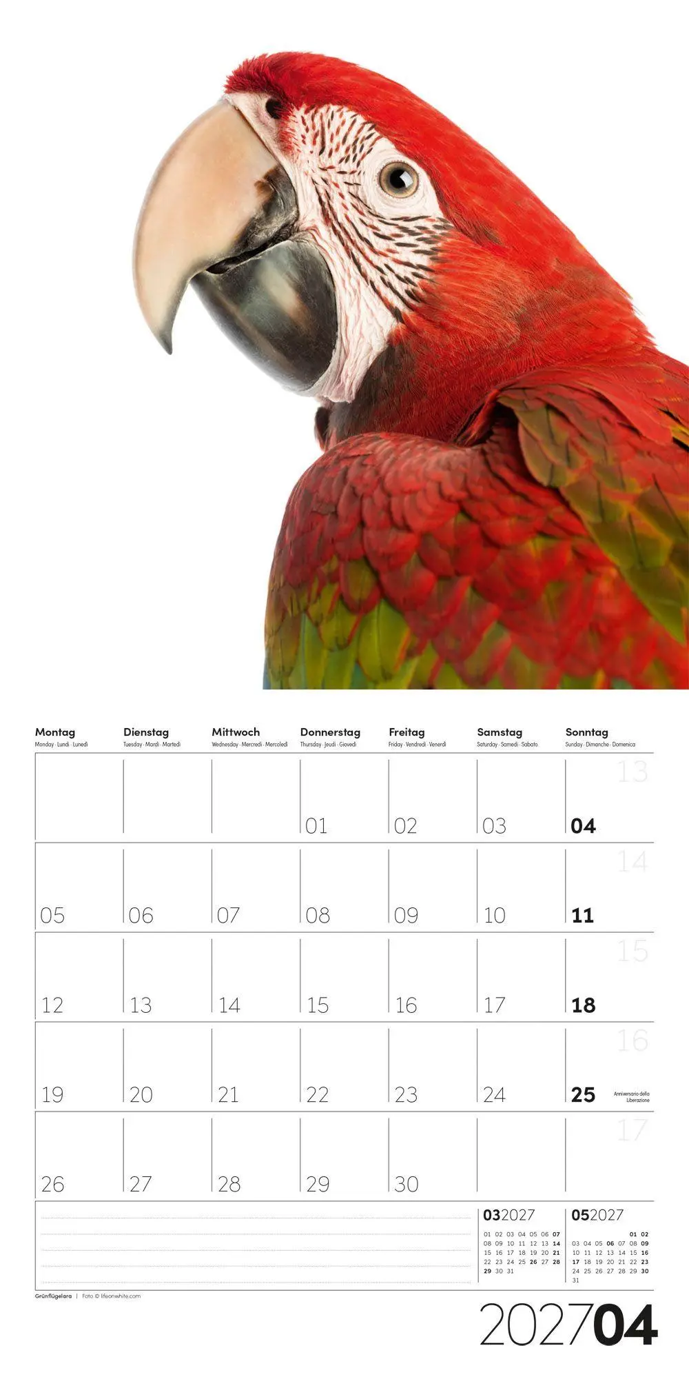 Bild: 9783838447186 | Animals Kalender 2027 - 30x30 - Art12 | Ackermann Kunstverlag GmbH
