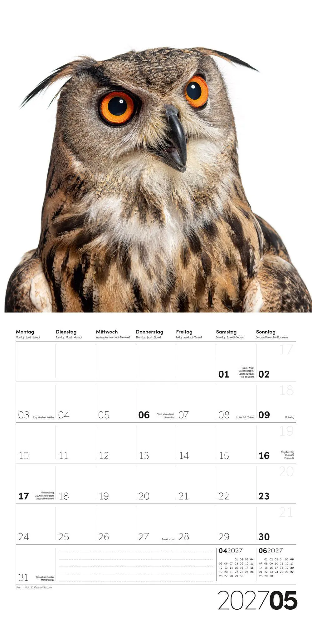 Bild: 9783838447186 | Animals Kalender 2027 - 30x30 - Art12 | Ackermann Kunstverlag GmbH