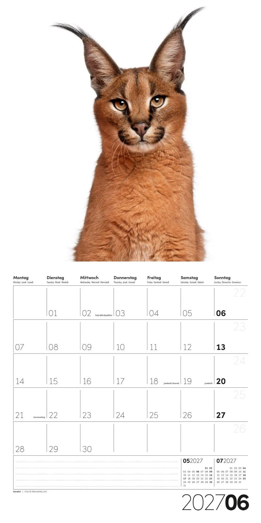 Bild: 9783838447186 | Animals Kalender 2027 - 30x30 - Art12 | Ackermann Kunstverlag GmbH