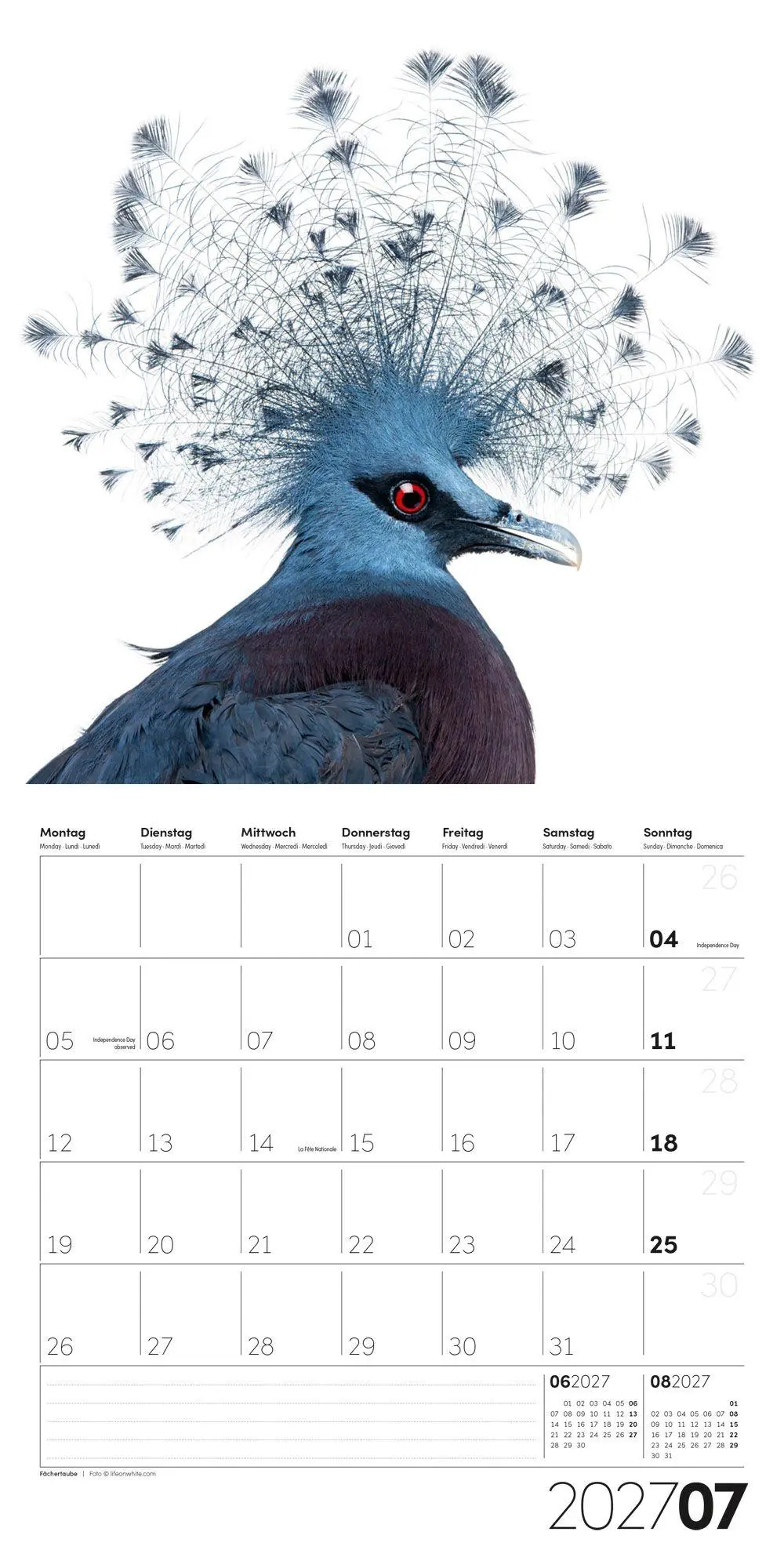 Bild: 9783838447186 | Animals Kalender 2027 - 30x30 - Art12 | Ackermann Kunstverlag GmbH
