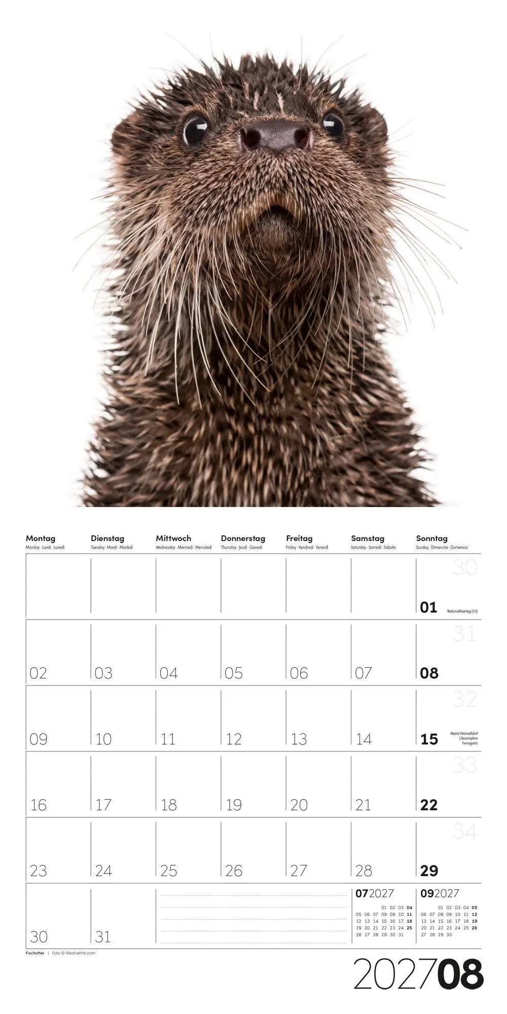Bild: 9783838447186 | Animals Kalender 2027 - 30x30 - Art12 | Ackermann Kunstverlag GmbH