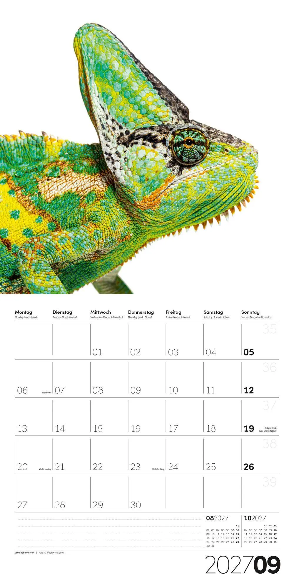 Bild: 9783838447186 | Animals Kalender 2027 - 30x30 - Art12 | Ackermann Kunstverlag GmbH