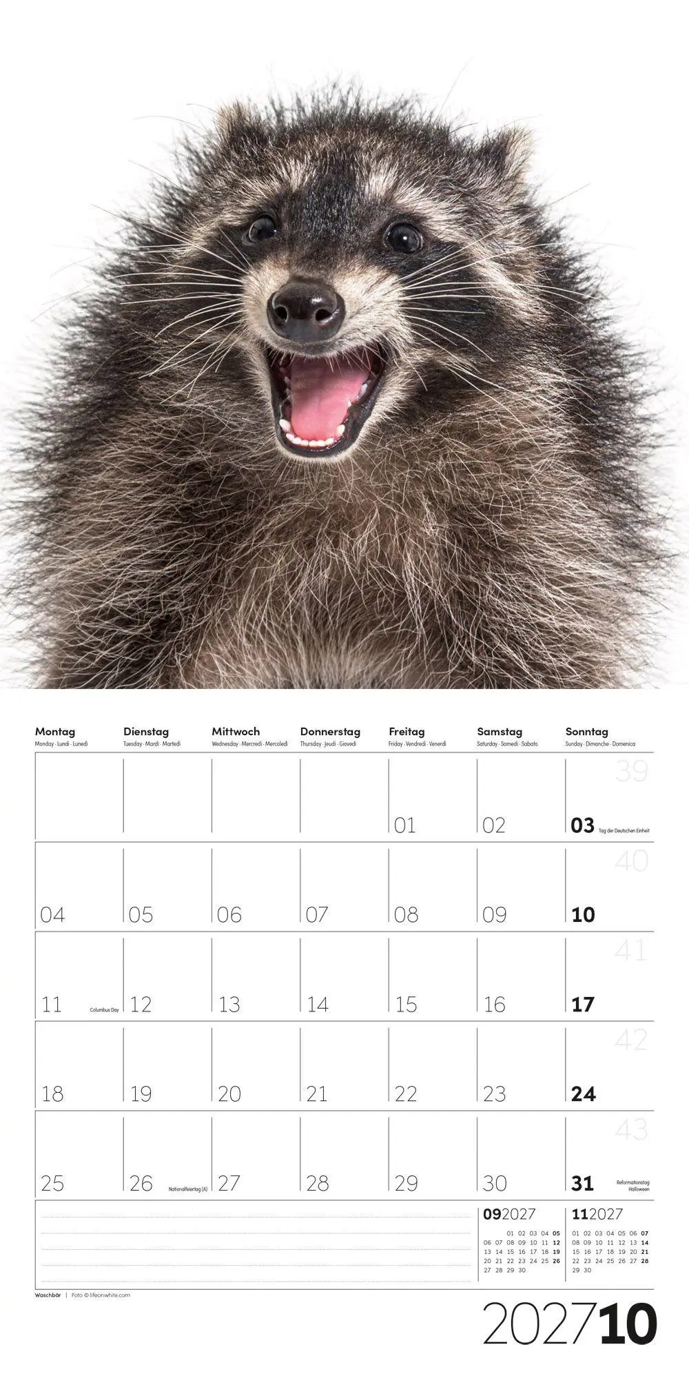 Bild: 9783838447186 | Animals Kalender 2027 - 30x30 - Art12 | Ackermann Kunstverlag GmbH