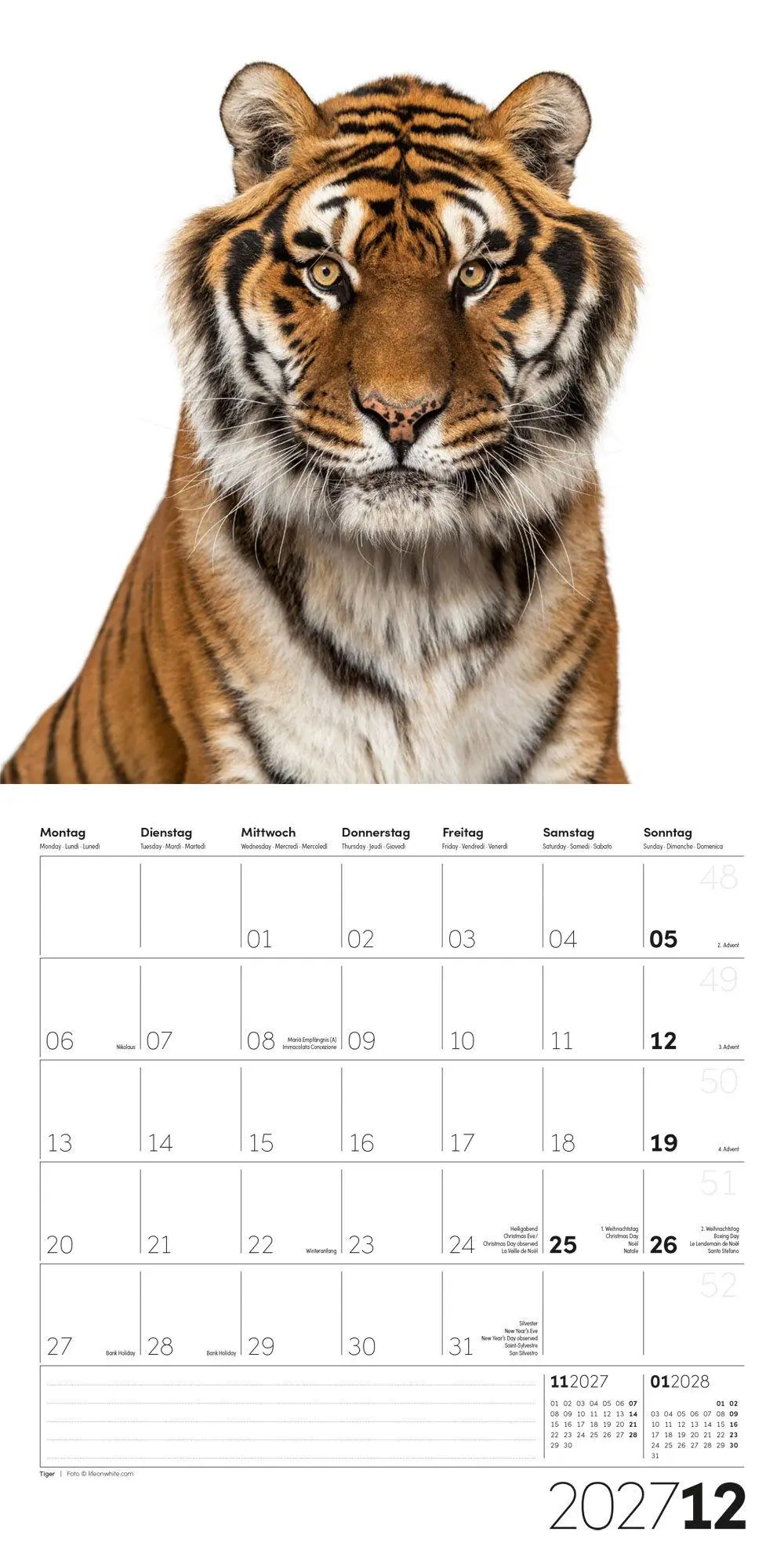Bild: 9783838447186 | Animals Kalender 2027 - 30x30 - Art12 | Ackermann Kunstverlag GmbH