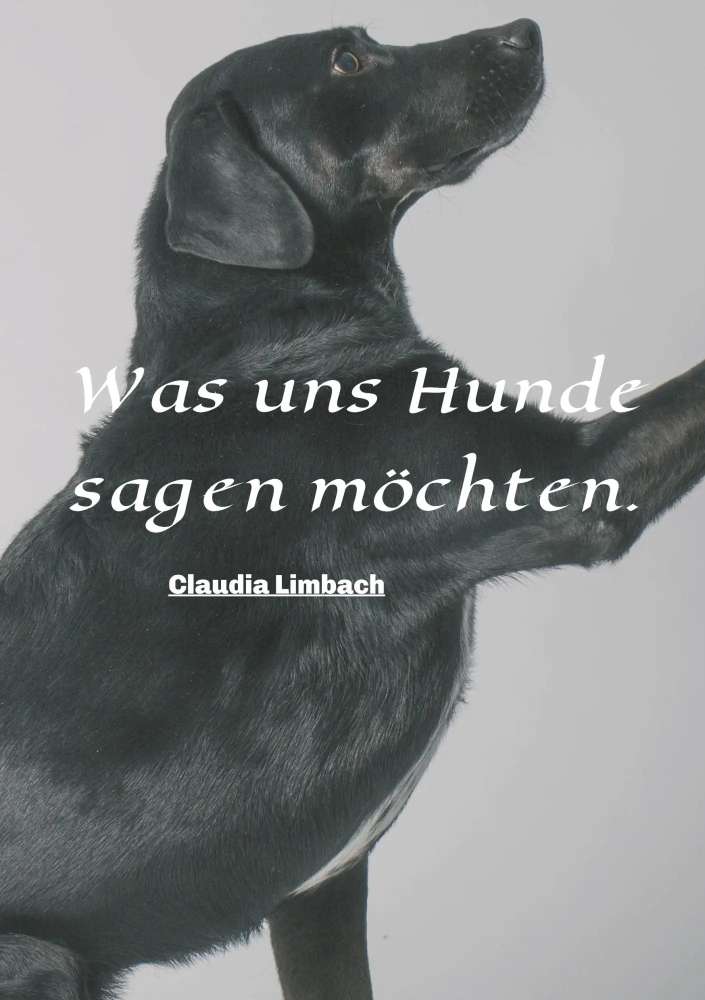 Cover: 9783748277286 | Was uns Hunde sagen möchten | Claudia Limbach | Taschenbuch | 56 S.