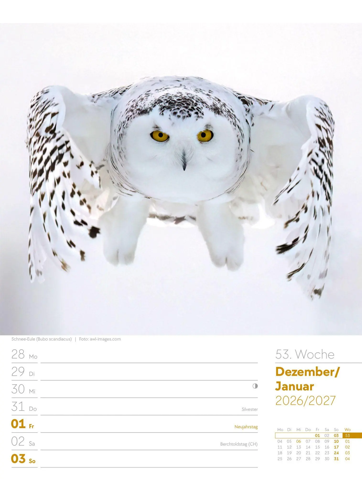 Bild: 9783838437286 | Vögel Wochenplaner Kalender 2027 | Ackermann Kunstverlag GmbH | 56 S.