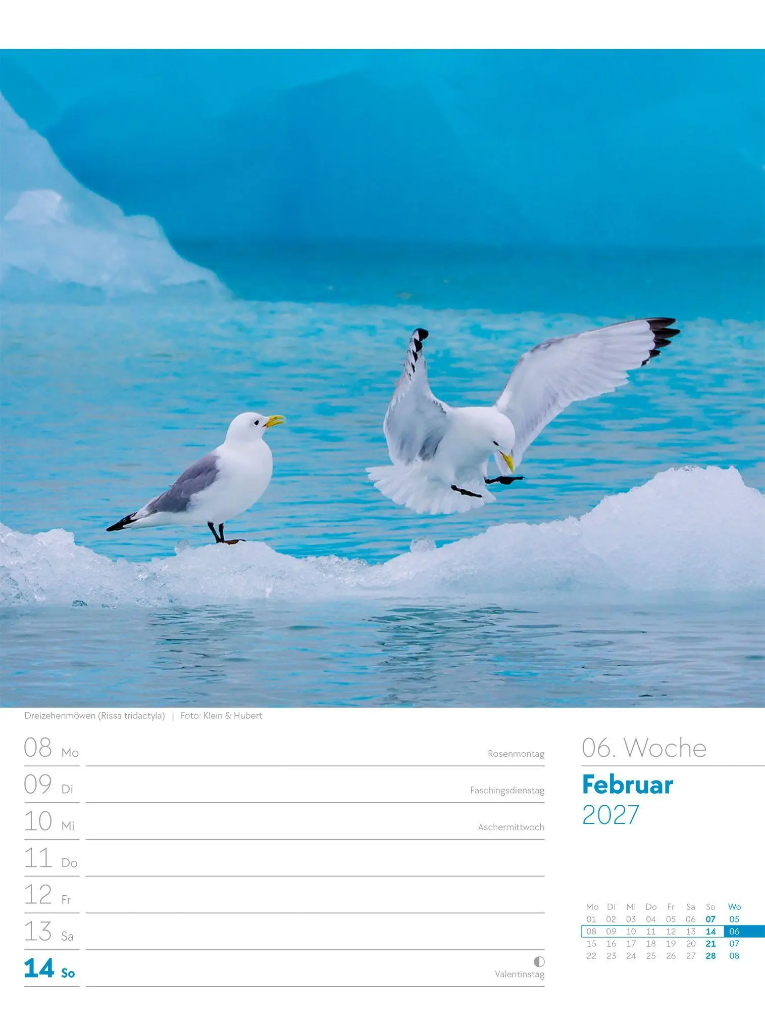 Bild: 9783838437286 | Vögel Wochenplaner Kalender 2027 | Ackermann Kunstverlag GmbH | 56 S.