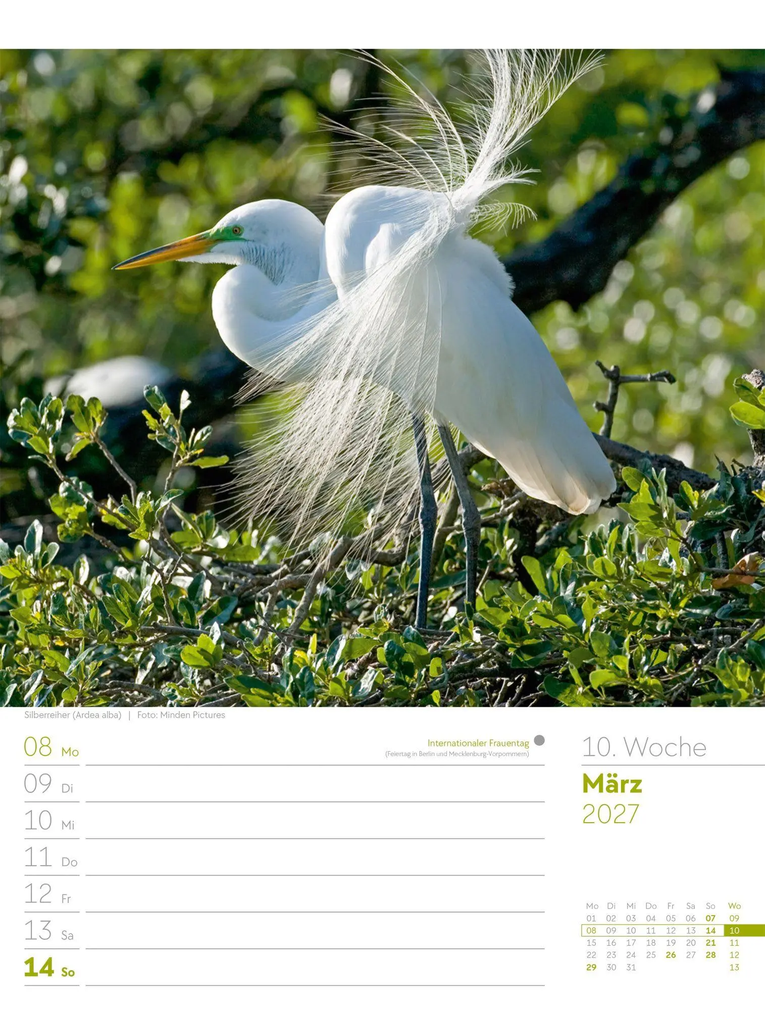 Bild: 9783838437286 | Vögel Wochenplaner Kalender 2027 | Ackermann Kunstverlag GmbH | 56 S.