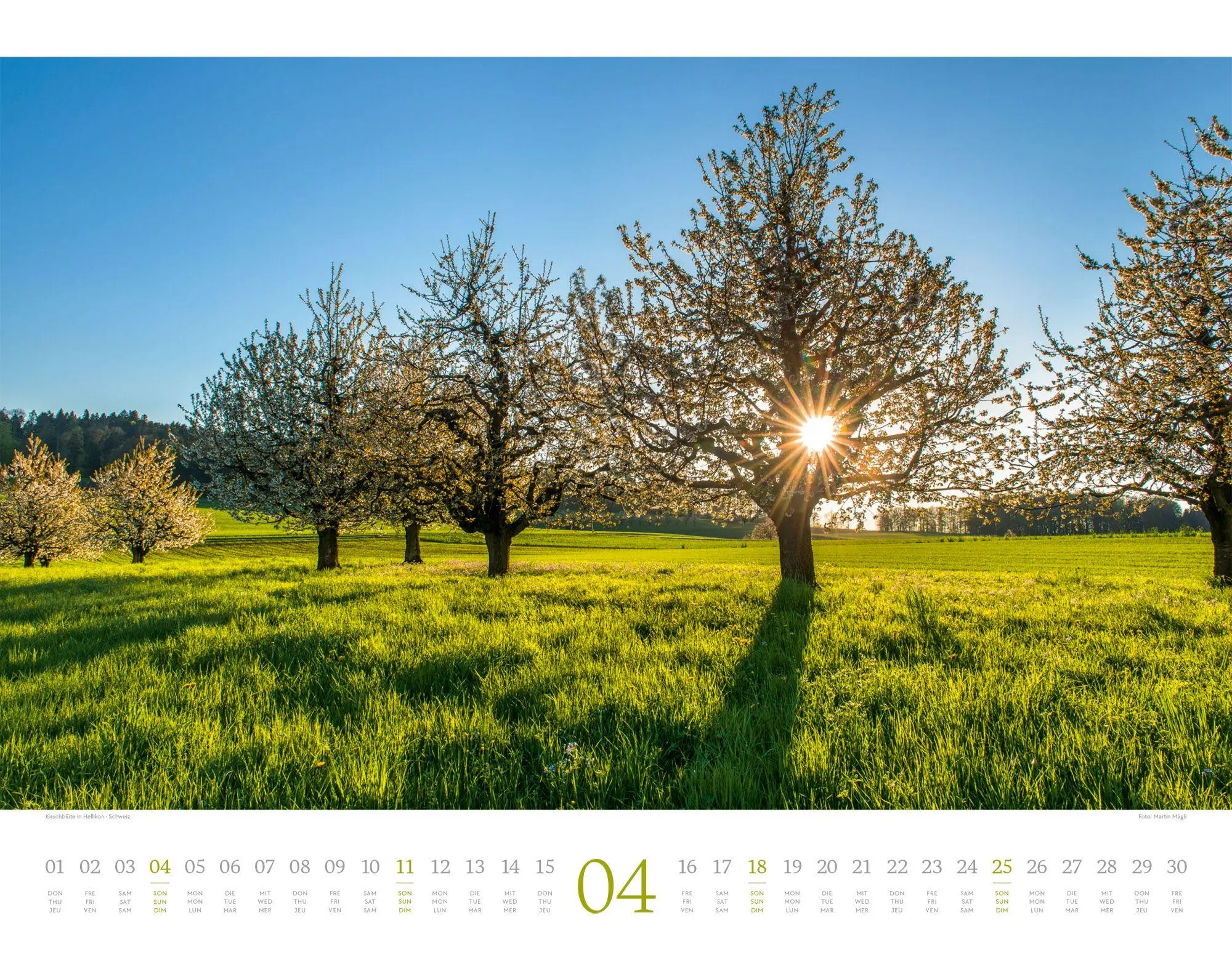 Bild: 9783838427386 | Morgenlicht Kalender 2027 | Ackermann Kunstverlag GmbH | Kalender