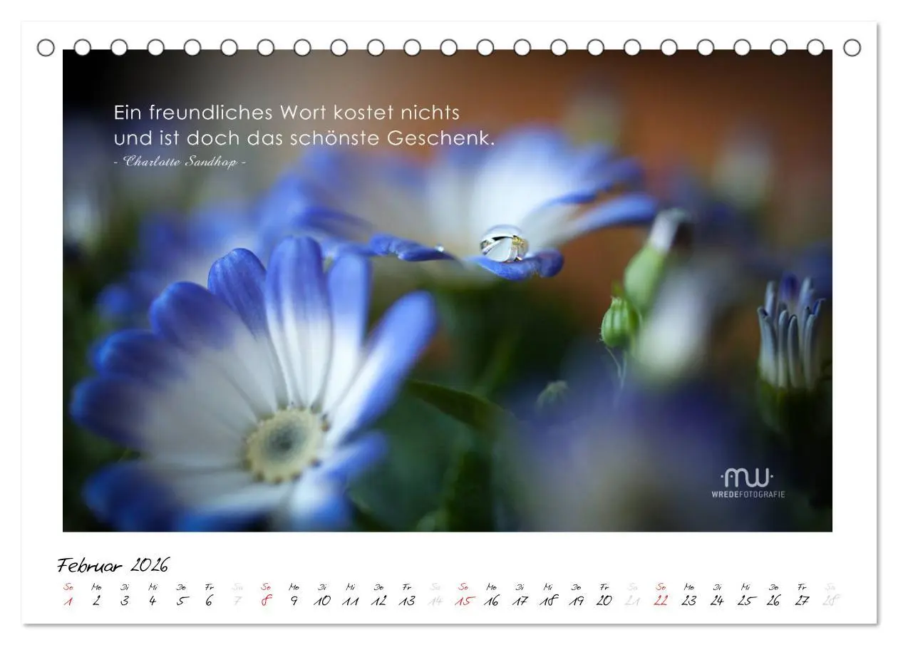 Bild: 9783516117486 | Gedanken... Bildkalender mit Sprüchen (Tischkalender 2026 DIN A5...