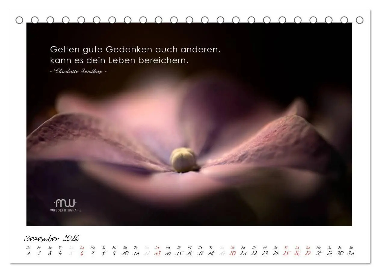 Bild: 9783516117486 | Gedanken... Bildkalender mit Sprüchen (Tischkalender 2026 DIN A5...