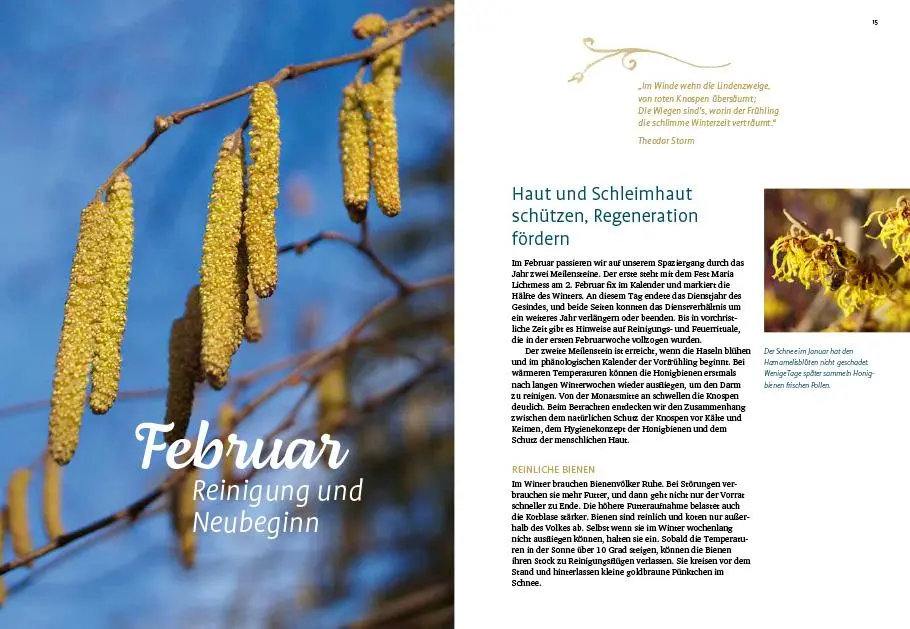 Bild: 9783818617486 | Thymian liebt Honig | Monika Theuring | Taschenbuch | 160 S. | Deutsch