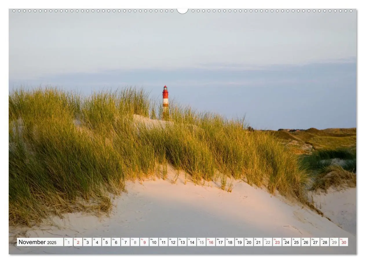 Bild: 9783435617586 | Amrum. Natur und Landschaften (Wandkalender 2025 DIN A2 quer),...