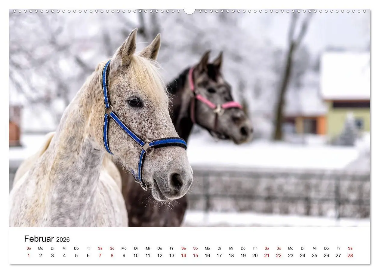 Bild: 9783457707586 | Masuren 2026 - Land der 1000 Seen (hochwertiger Premium...