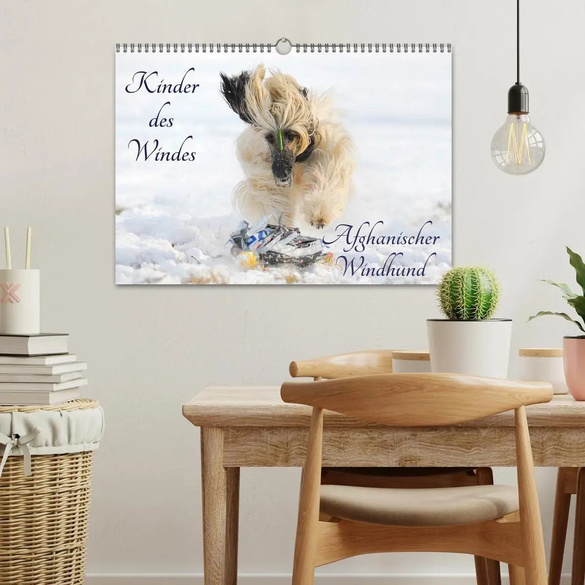Bild: 9783516027686 | Kinder des Windes - Afghanischer Windhund (Wandkalender 2026 DIN A3...