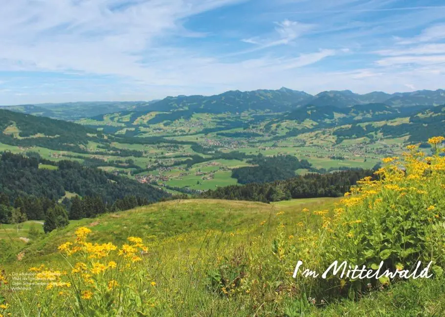Bild: 9783862467686 | Wander-Geheimtipps Bregenzerwald | Benedikt Grimmler | Taschenbuch