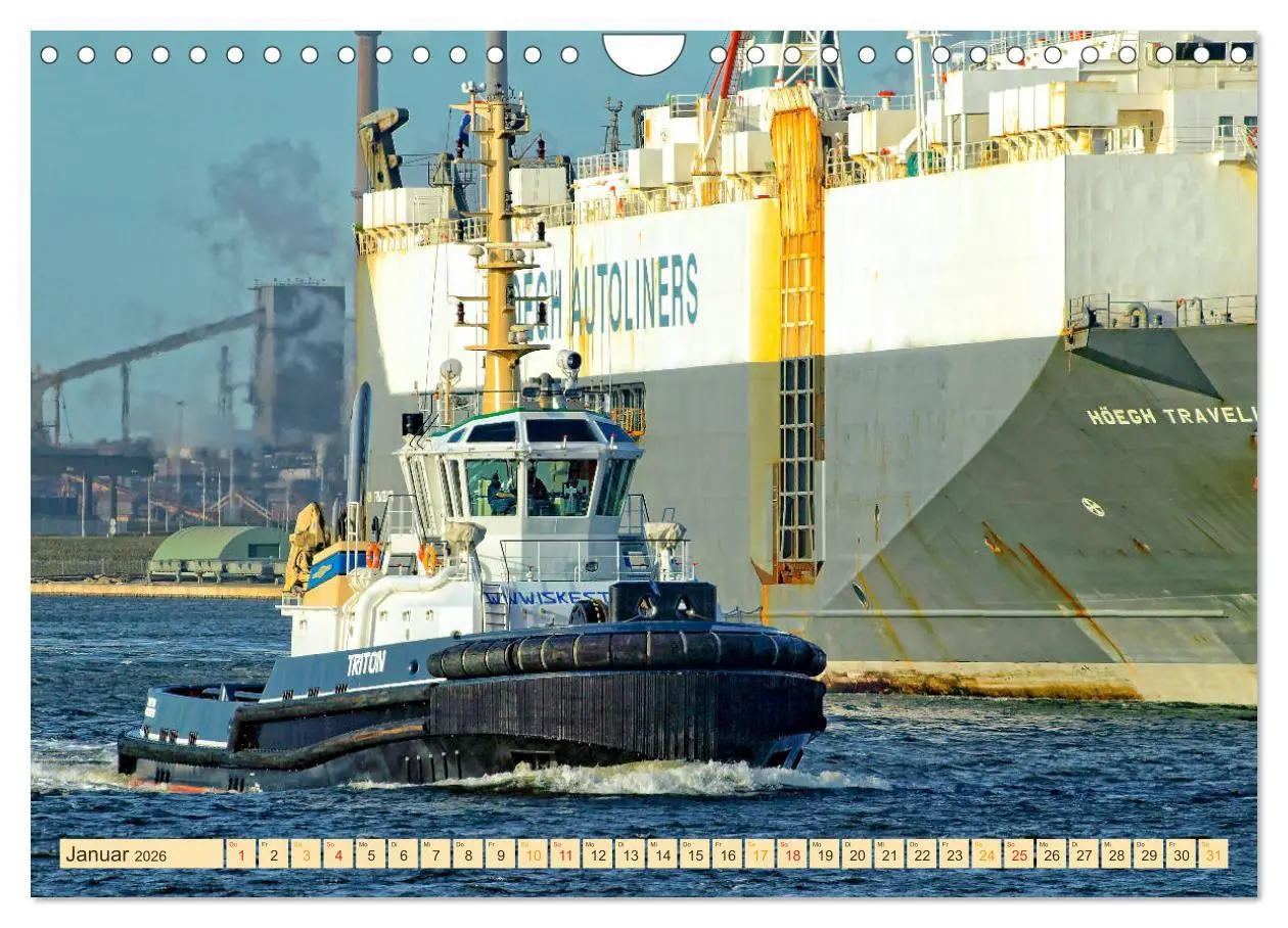 Bild: 9783457927786 | Schlepper - bärenstarke Arbeitstiere (Wandkalender 2026 DIN A4...