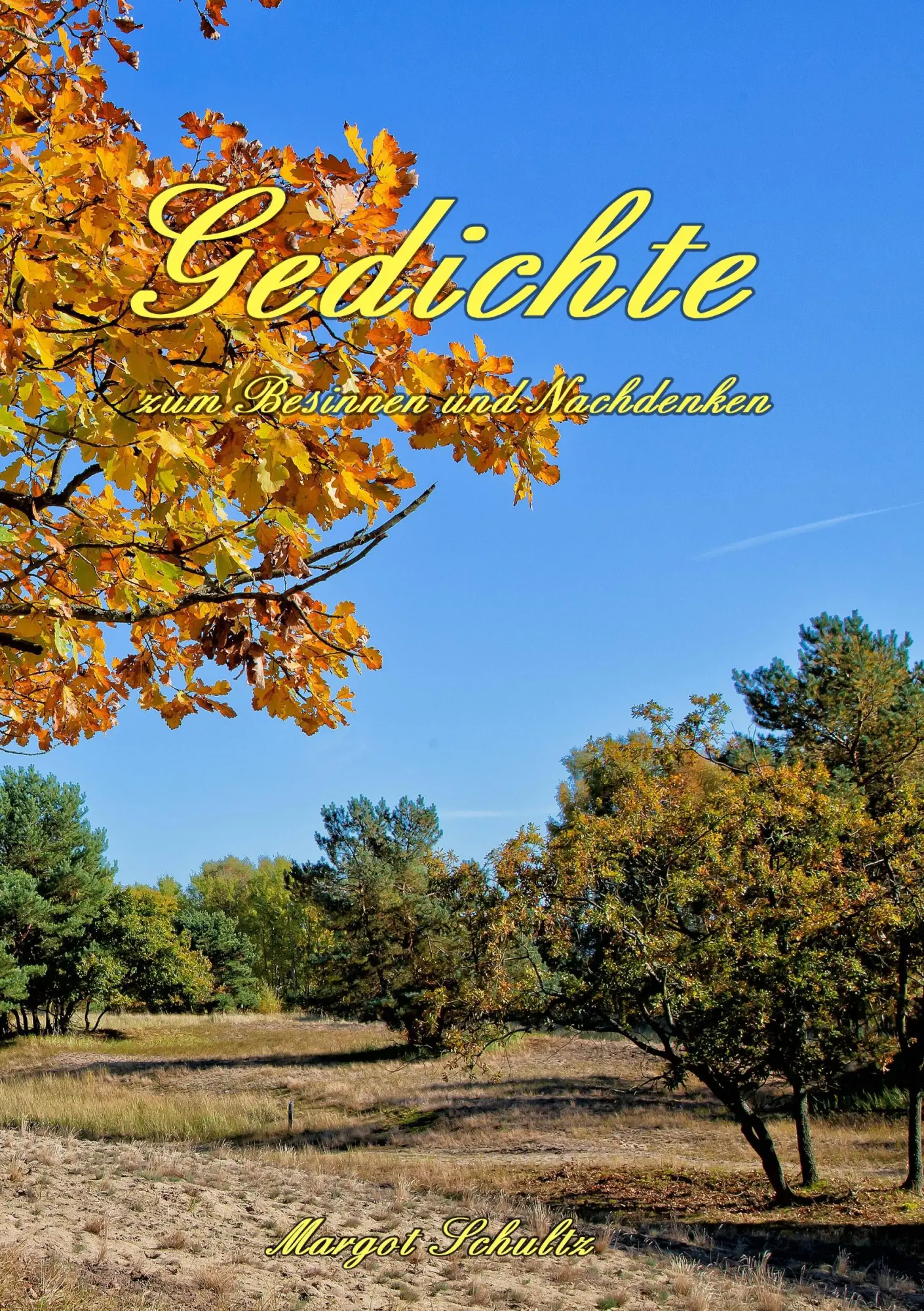 Cover: 9783741297786 | Gedichte zum Besinnen und Nachdenken | Margot Schultz | Taschenbuch