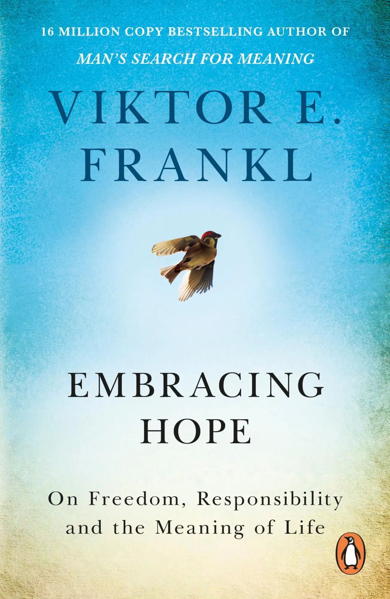 Cover: 9781846047886 | Embracing Hope | On Freedom, Responsibility &amp; the Meaning of Life