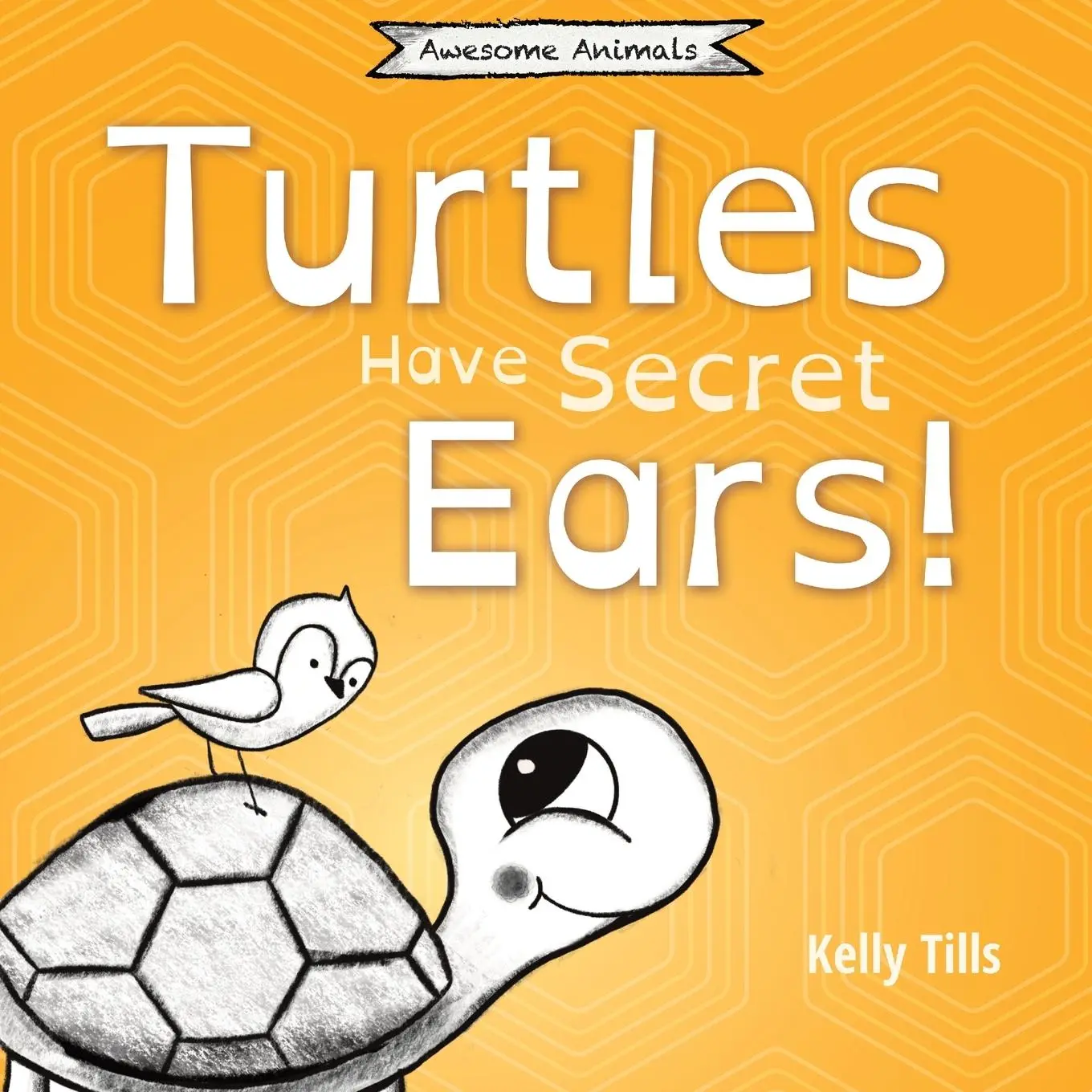 Cover: 9781955758086 | Turtles Have Secret Ears | Kelly Tills | Taschenbuch | Englisch | 2022
