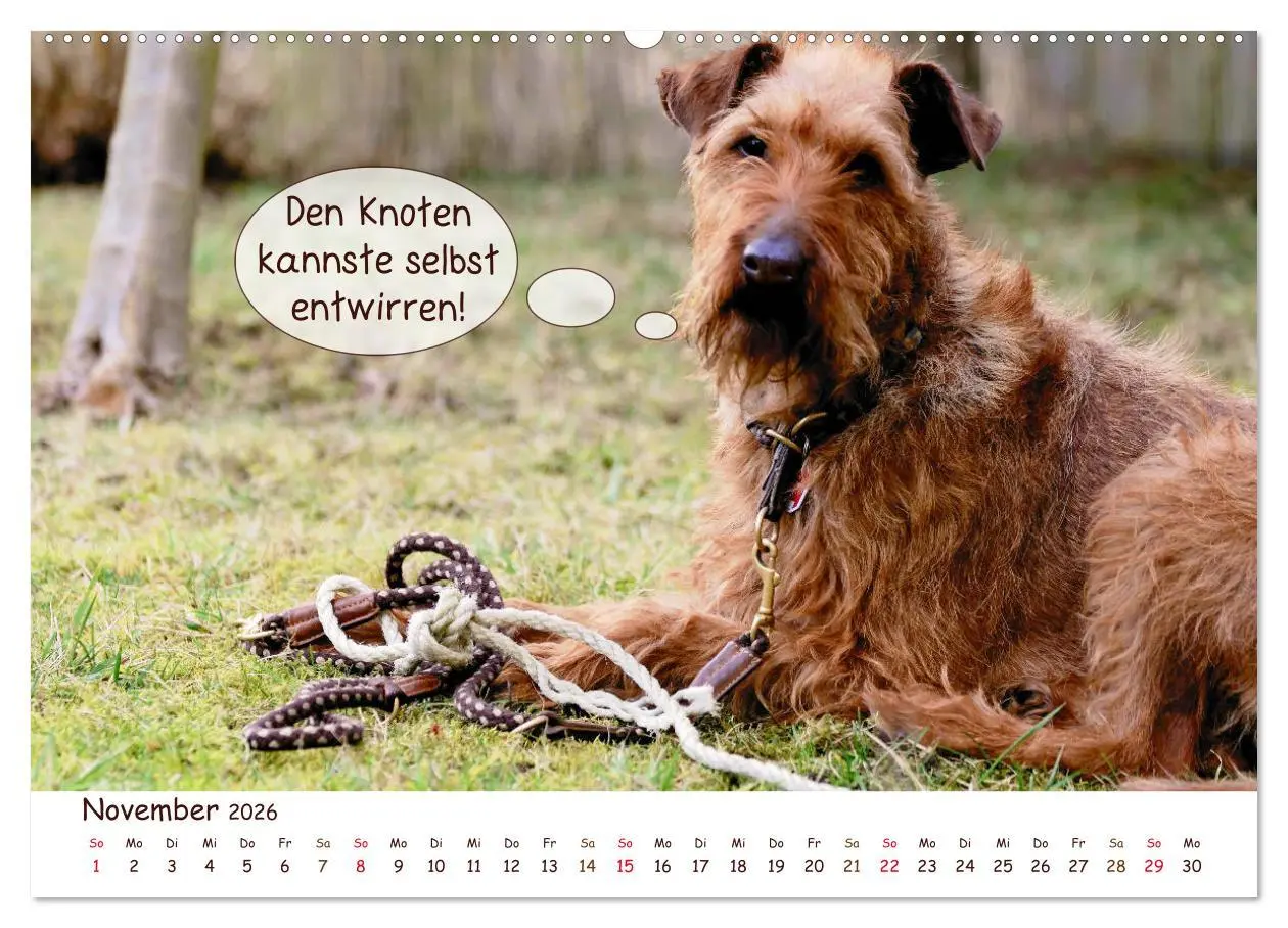 Bild: 9783457728086 | Frei Schnauze 2026. Was Hunde am liebsten sagen würden...