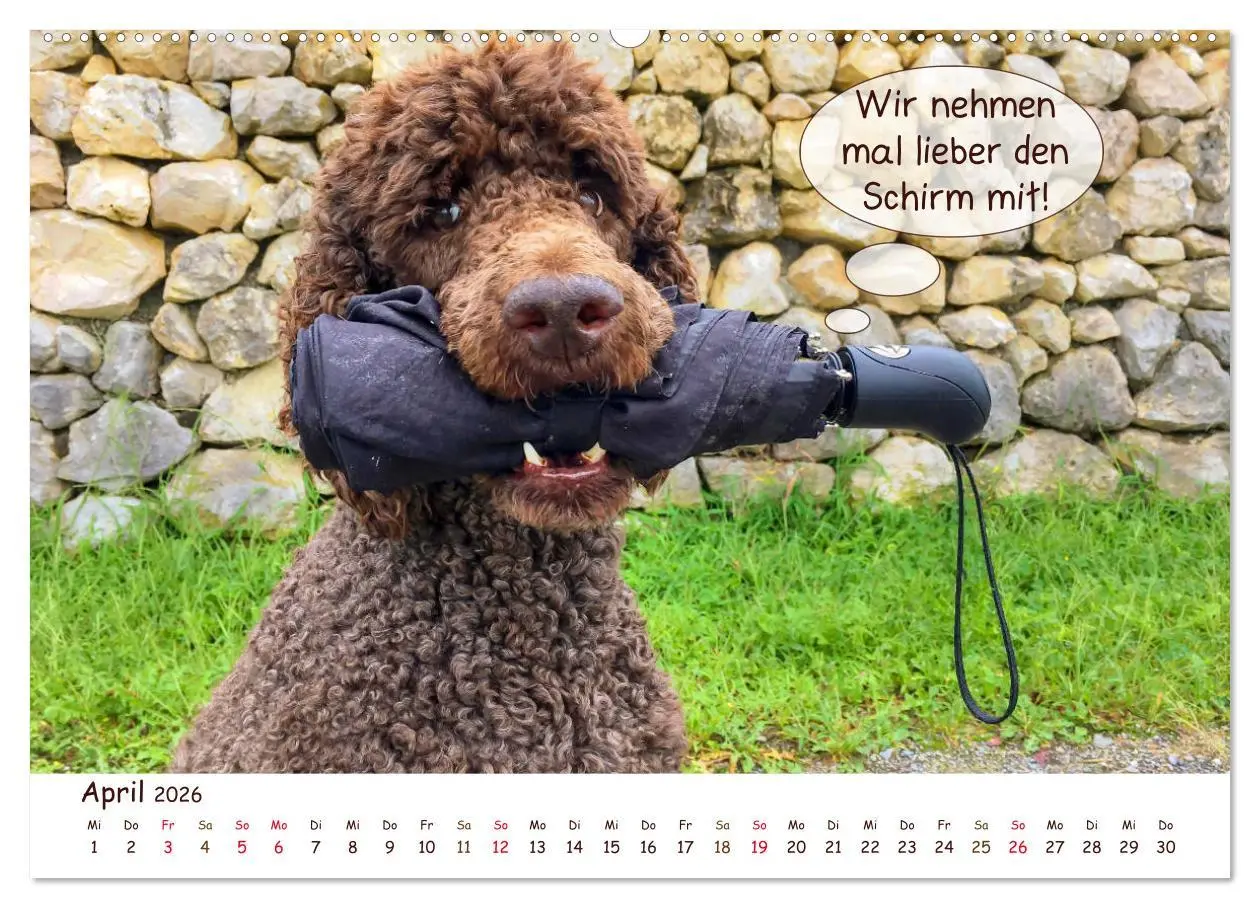Bild: 9783457728086 | Frei Schnauze 2026. Was Hunde am liebsten sagen würden...