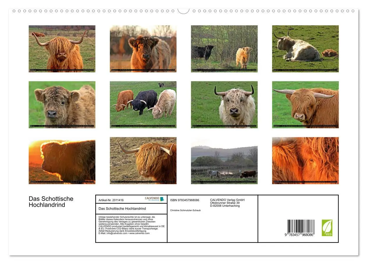 Bild: 9783457968086 | Das Schottische Hochlandrind (hochwertiger Premium Wandkalender...
