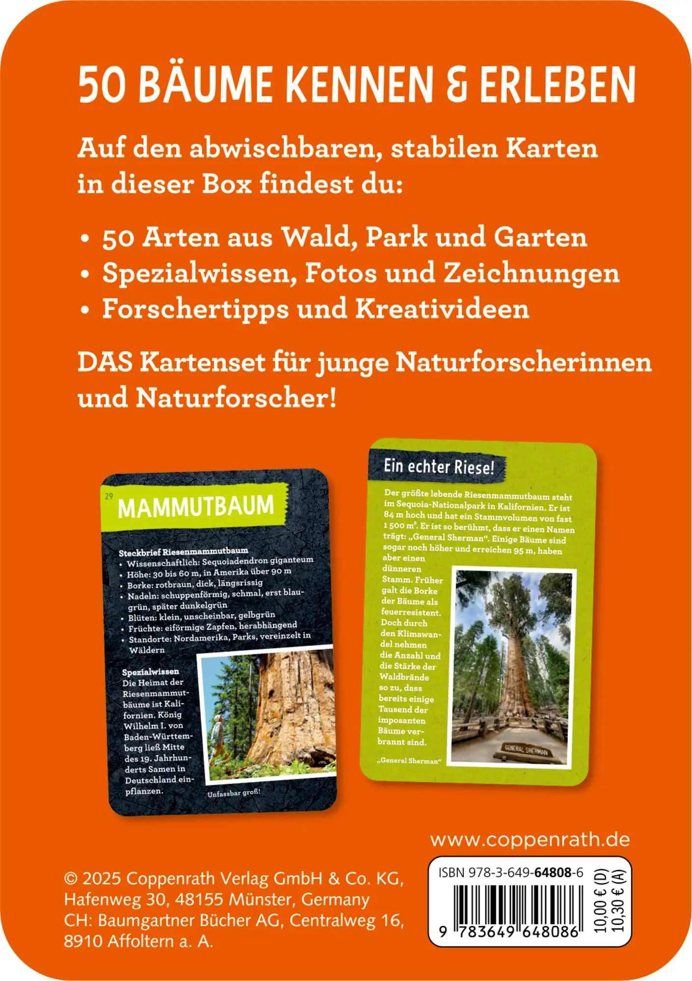 Rückseite: 9783649648086 | 50 Bäume kennen &amp; erleben | Stefanie Zysk | Taschenbuch | Nature Zoom