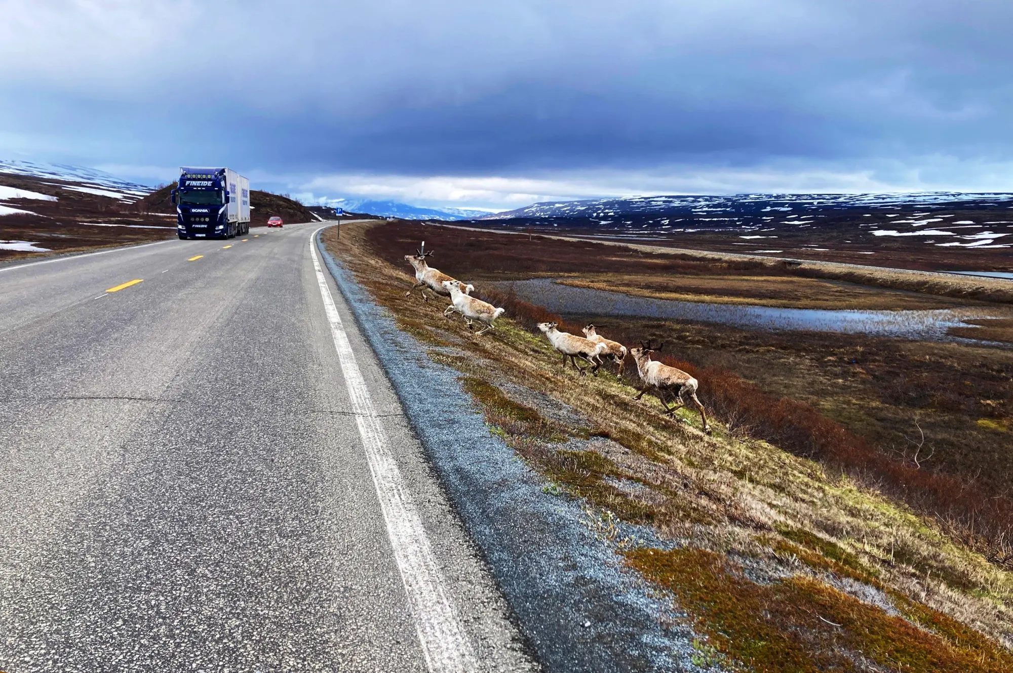 Bild: 9783911758086 | Abenteuer NORWEGEN | Auf dem Rad von Süd nach Nord + Lofoten | Lange