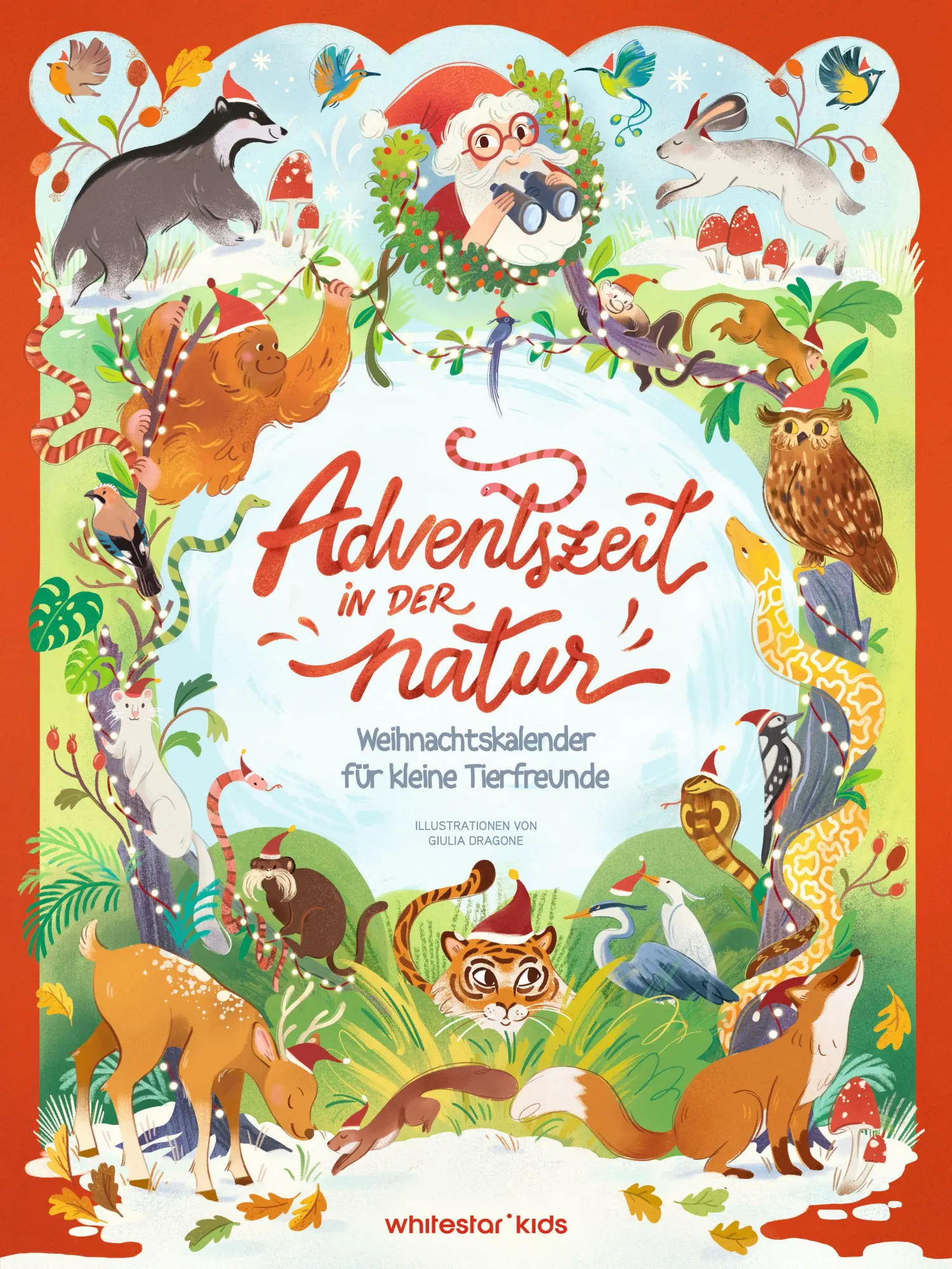 Adventszeit in der Natur