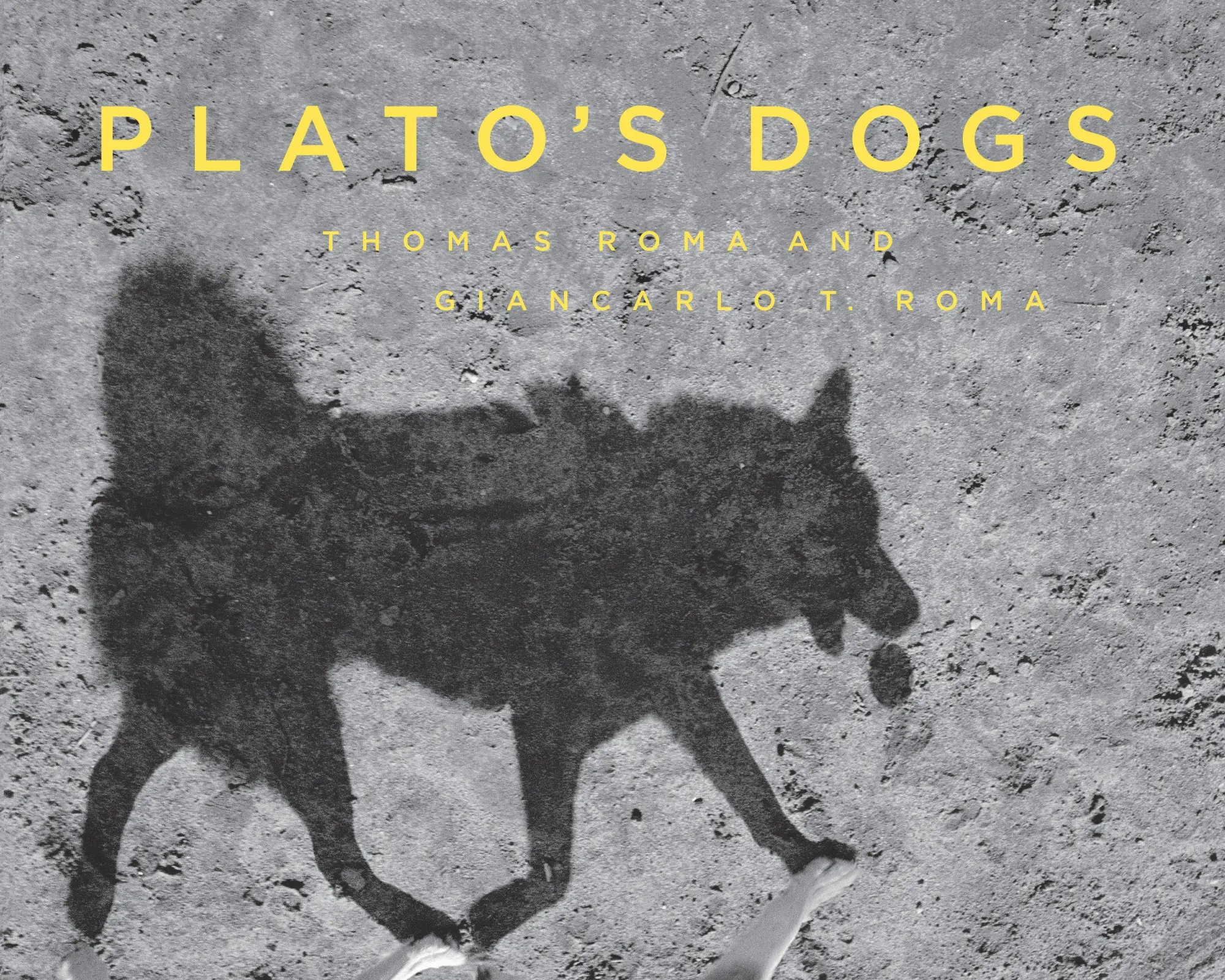 Cover: 9781576878286 | Plato's Dogs | Thomas Roma | Buch | Englisch | 2016 | powerHouse Books