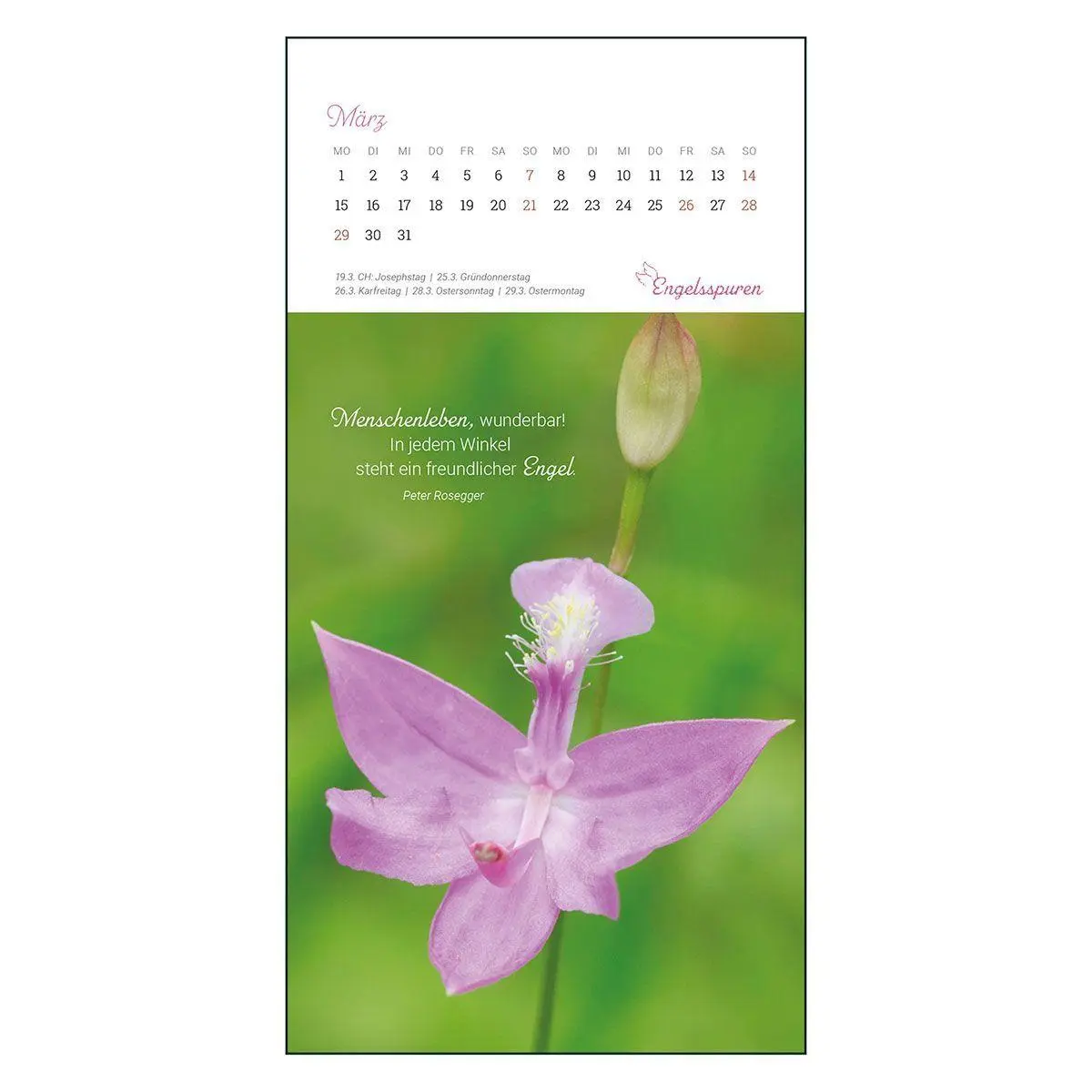Bild: 9783746268286 | Engelsspuren 2027 | Der Postkarten-Kalender | Kalender | Spiralbindung